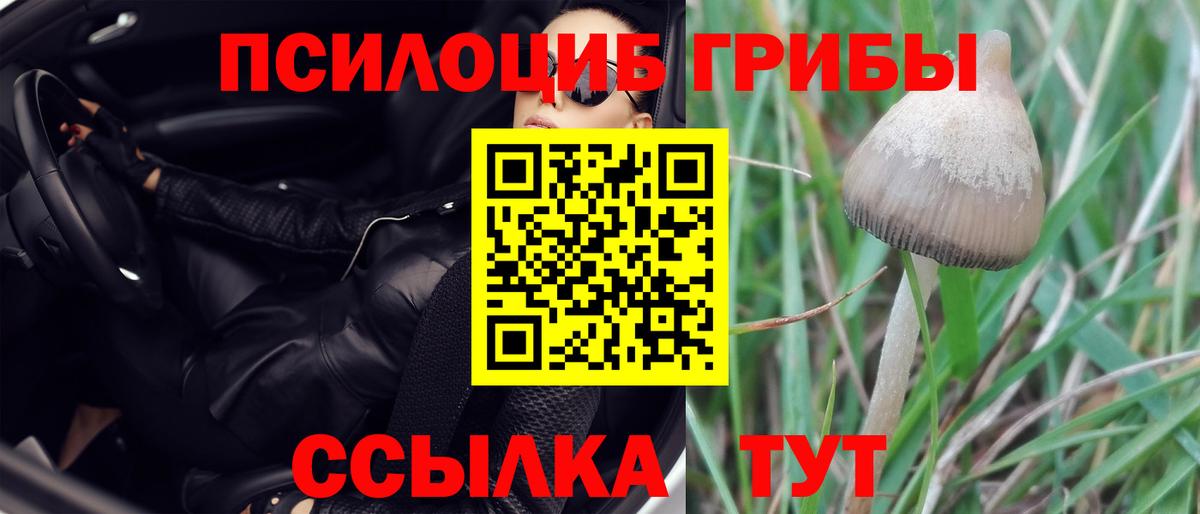 Псилоцибиновые грибы мицелий  купить наркотики сайты  Санкт-Петербург  Вход с VPN 