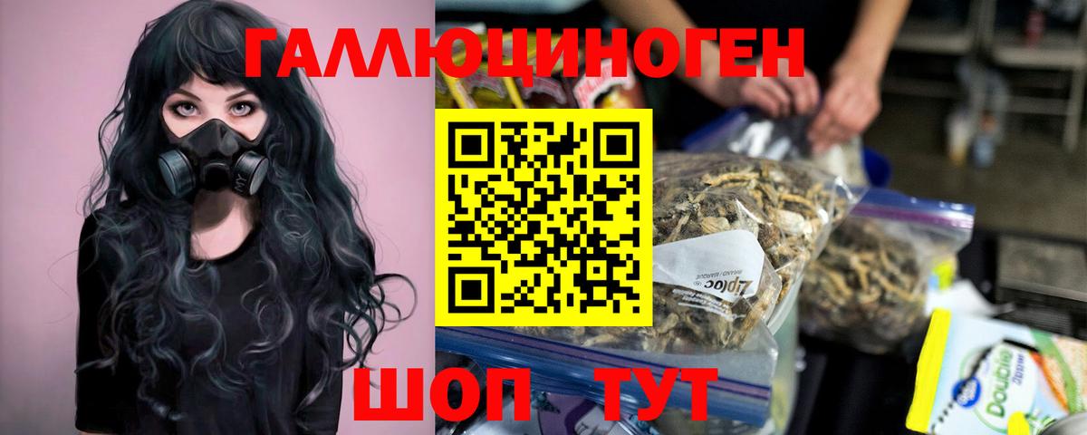 Псилоцибиновые грибы MAGIC MUSHROOMS Санкт-Петербург
